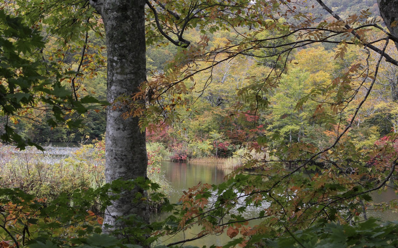 Image00002
