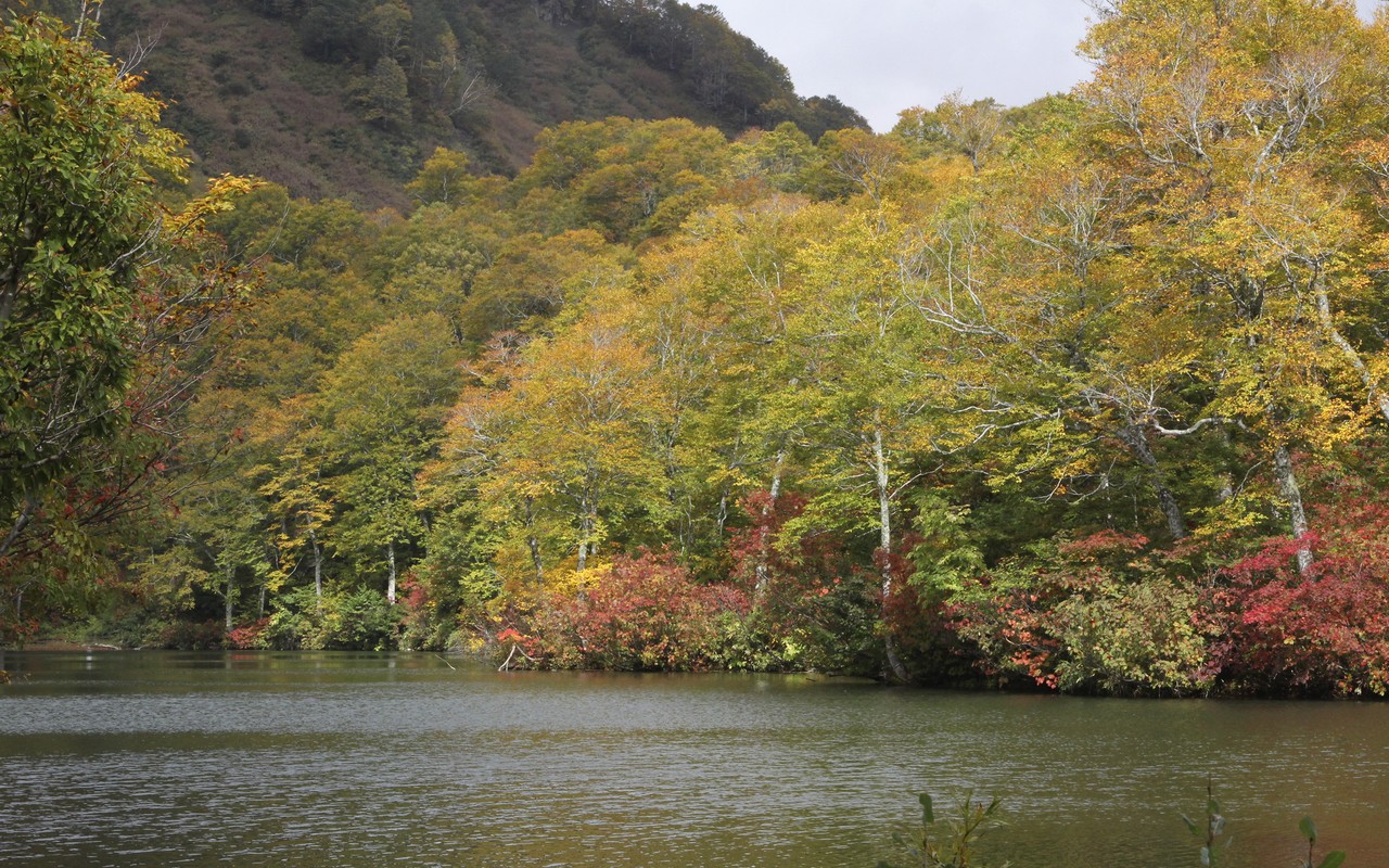 Image00003