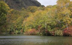 Image00003