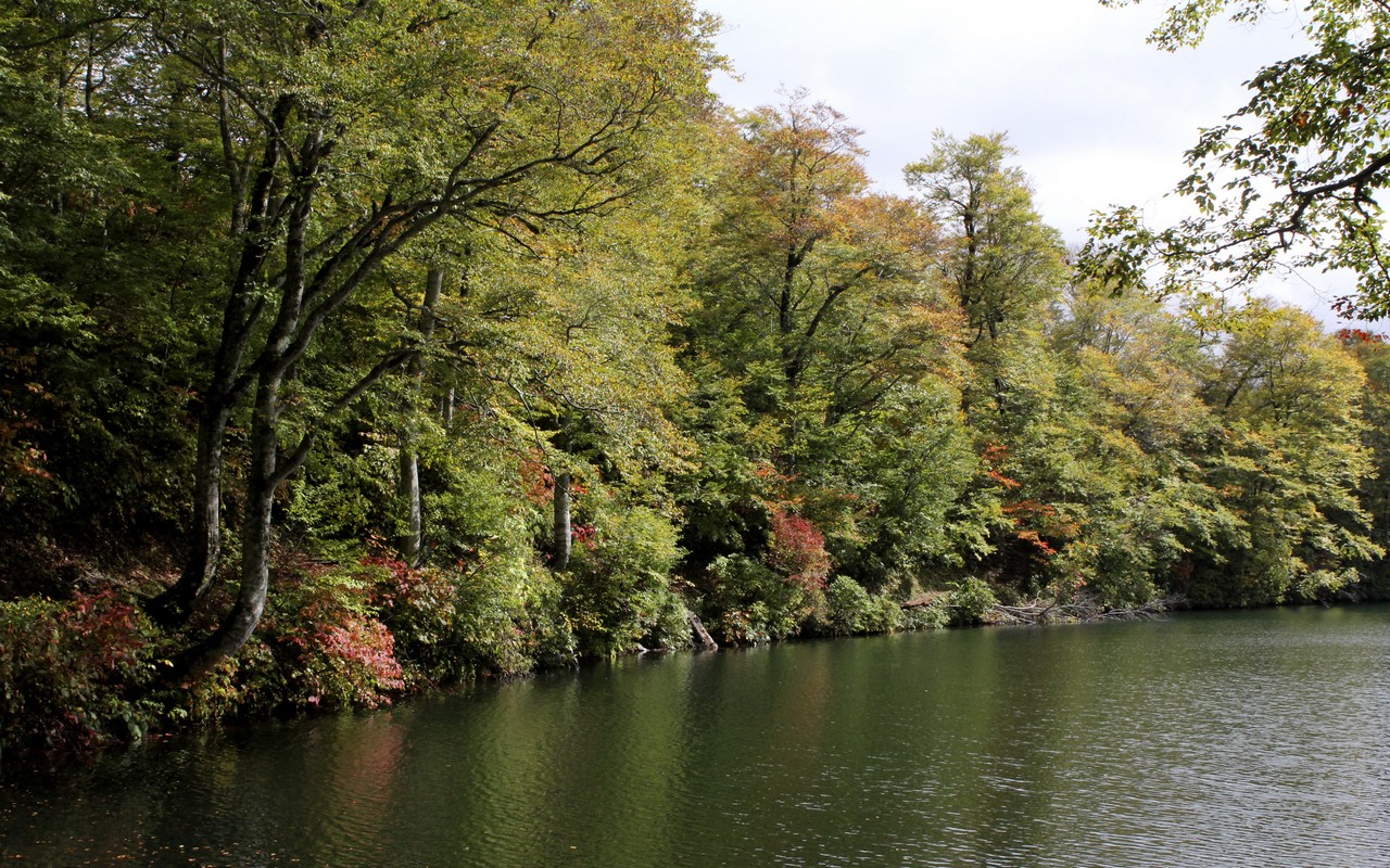 Image00007