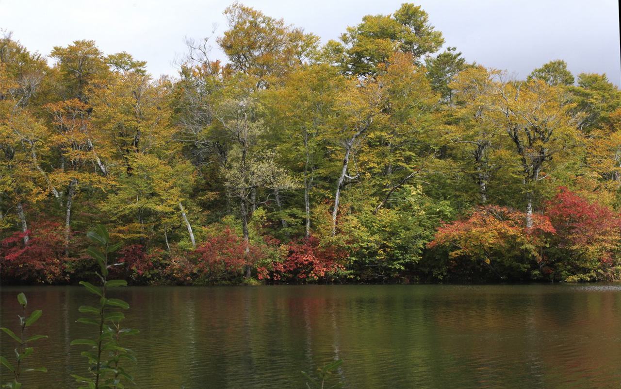Image00005