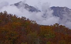 Image00009