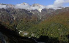 Image00017