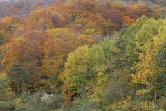 Image00003
