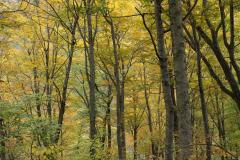 Image00004