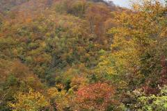 Image00006
