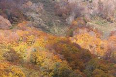 Image00014
