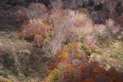 Image00015