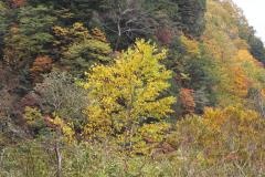 Image00017