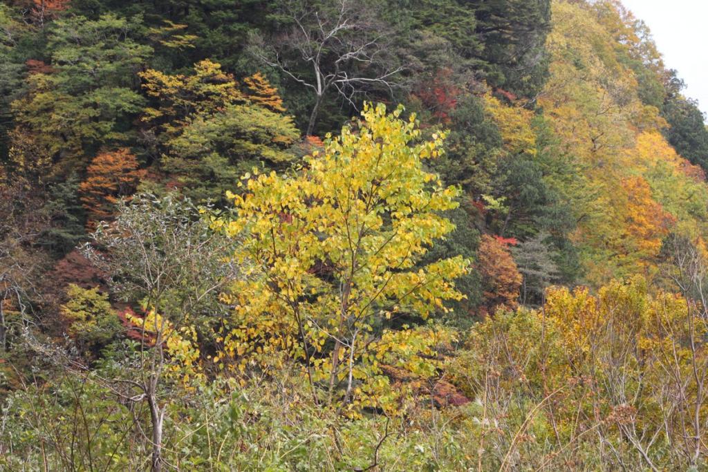 Image00017