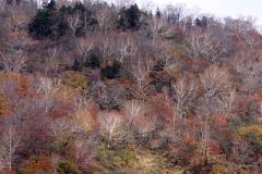 Image00018