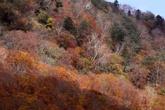 Image00019
